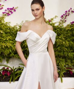 Alternative view of CICELY