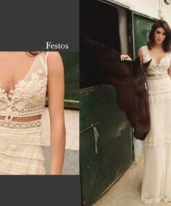 Alternative view of FESTOS